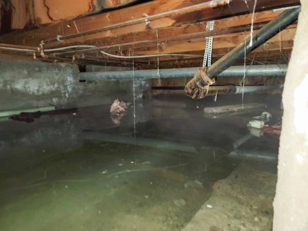 Best Water damage restoration near me  in Hales Corners, WI