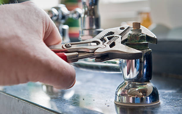 Best Carpet water damage restoration  in Hales Corners, WI