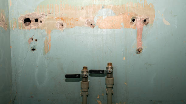 Best Water damage restoration near me  in Hales Corners, WI